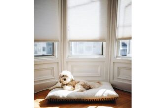 Ролети на окна