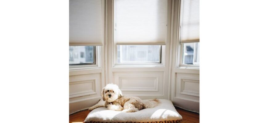 Ролети на окна