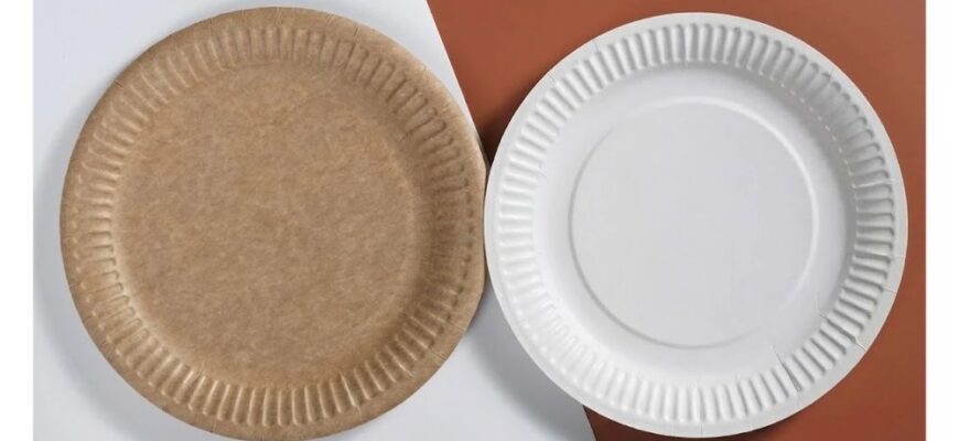 Одноразовые тарелки из разной бумаги